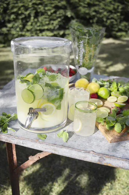 Lemonad med citron och färska örter
