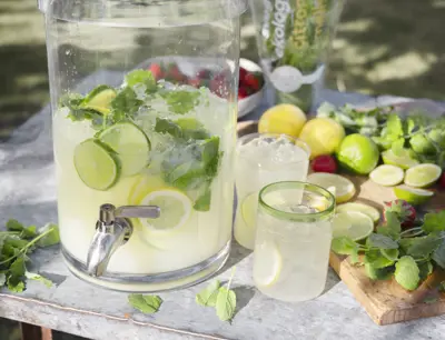 Lemonad med citron och färska örter