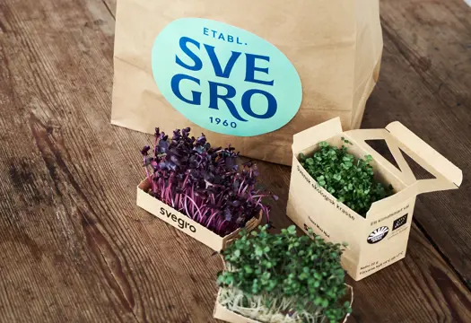 Mikroörter i tråg och örter i pappkasse