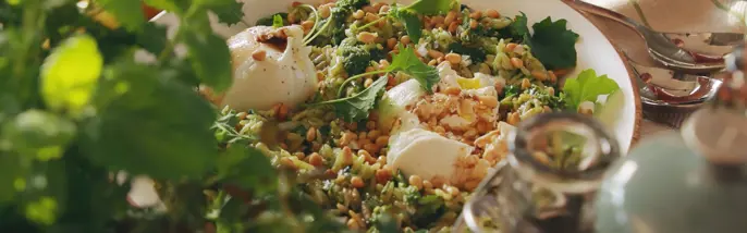 Risoni-sallad med burrata och pesto