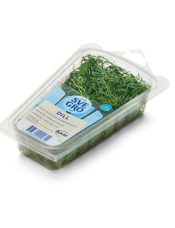 Dill från Svegro i ask