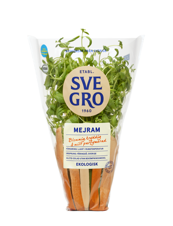Mejram i kruka från Svegro