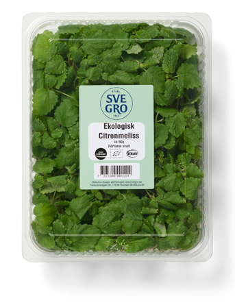 Citronmeliss färsk skuren i förpackning