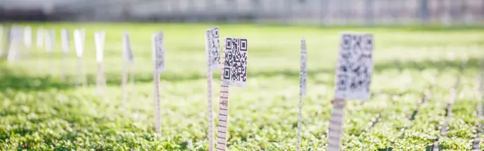 QR-kod i odlingen för AI-övervakning