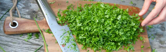Hackad persilja